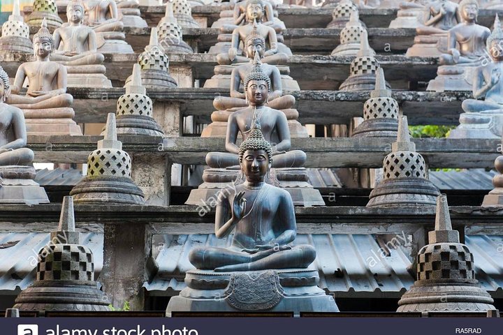 Colombo Day Trip From Hotels or Cruise Port  - Image 4