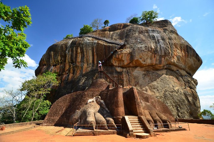 Colombo to Dambulla Sigiriya 02 Days Tour with Safari - Image 4