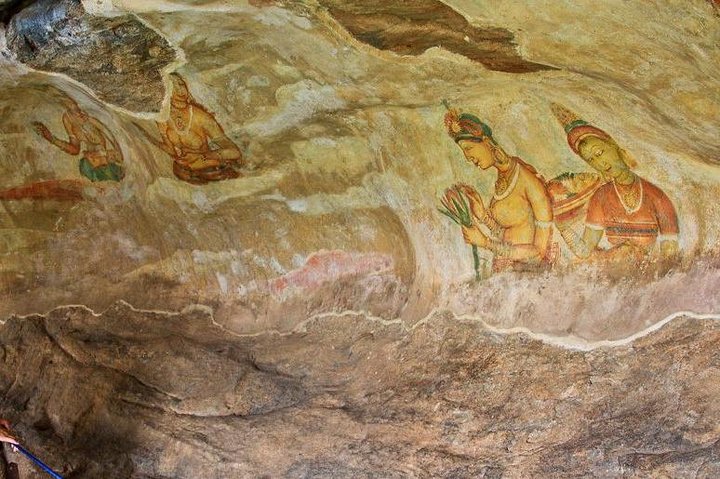 Colombo to Dambulla Sigiriya 02 Days Tour with Safari - Image 5