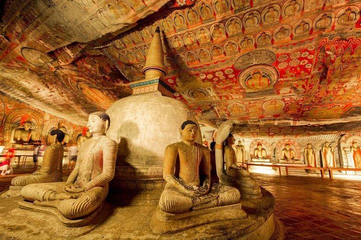 Colombo to Dambulla Sigiriya 02 Days Tour with Safari - Image 2