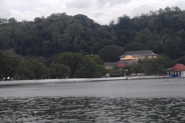 Colombo to Kandy Private Day Tour - Image 4