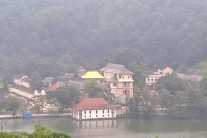 Colombo to Kandy Private Day Tour - Image 5