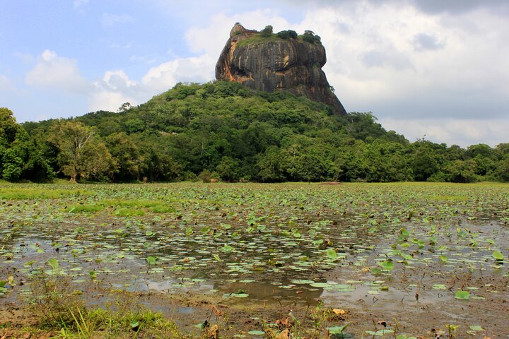 Colombo to Sigiriya Transfer - Image 5