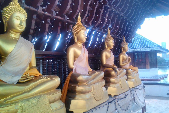 Colombo Walking Tour With Ayurvedic Learning - Image 1