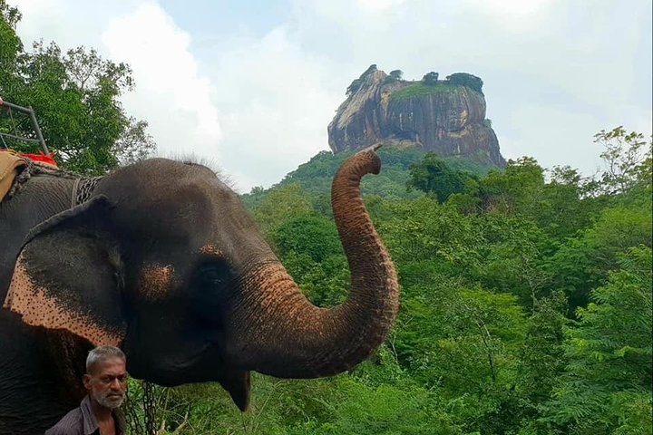 Day Tour of Sigiriya  - Image 5