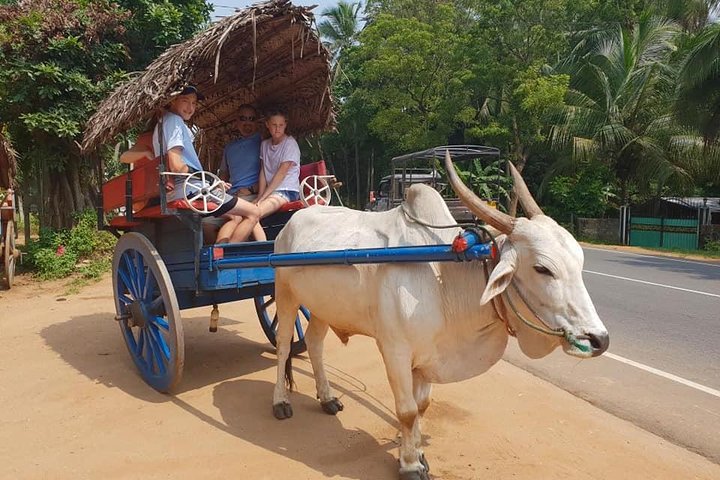 Day Tour of Sigiriya  - Image 2