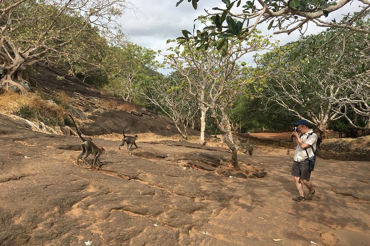 Day Tour to Sigiriya Rock Fortress & Dambulla Rock Cave Temple. - Image 2