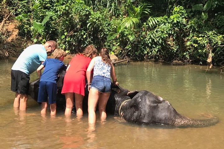 Day Tours & Shore Excursions In Colombo, Sri lanka. full day tour  - Image 4