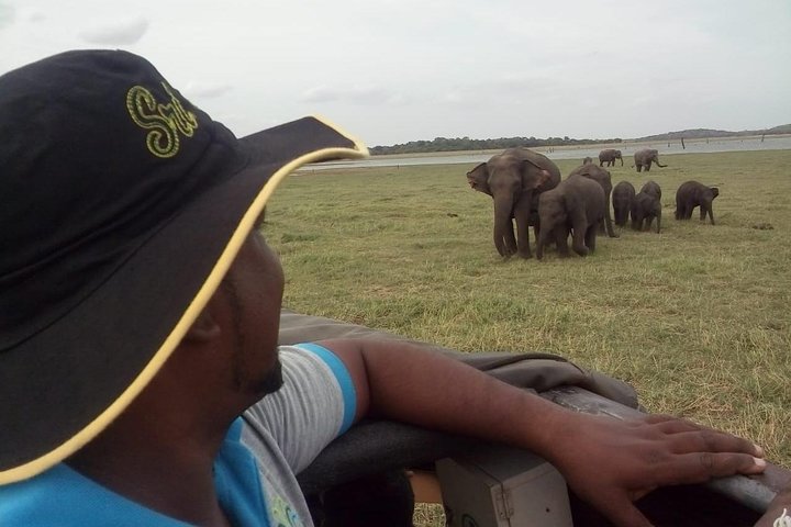 Day Tours & Shore Excursions In Colombo, Sri lanka. full day tour  - Image 2