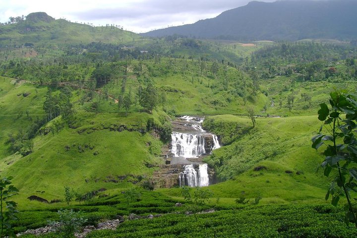 Day Trip to Nuwara Eliya with Kingfisher Tours - Image 5