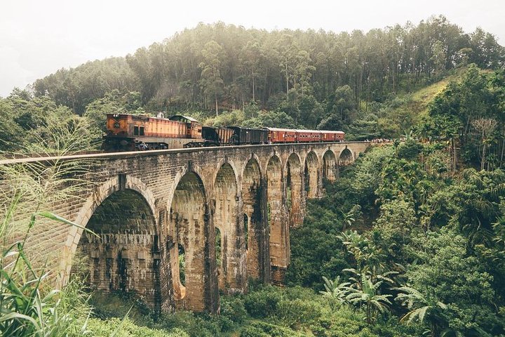 Discover Serendib by Rail (8 Days) - Image 5