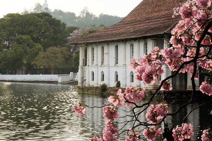 Ella and Yala National park Tour from Colombo - Image 5