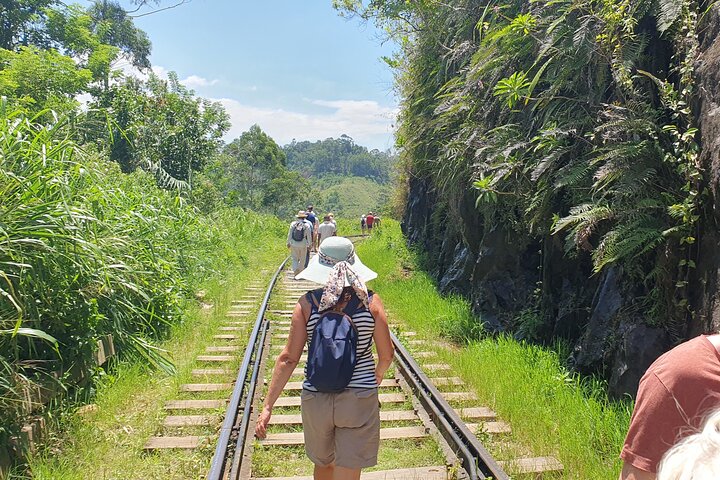 Ella and Yala National park Tour from Colombo - Image 2