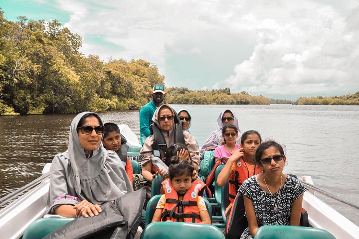 Experience South and Hills (9 Days) - Image 3