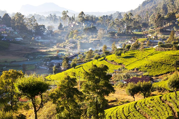 Explore, Relax & Rejuvenate (12 Days) - Image 3