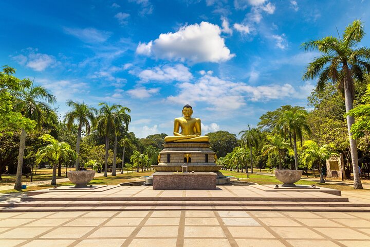 Full Day Private Shore Tour in Colombo from Colombo Cruise Port - Image 5