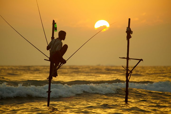 Galle and Colombo Shore Excursion - Image 1
