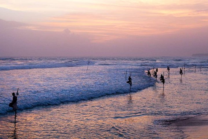 Galle and Colombo Shore Excursion - Image 5