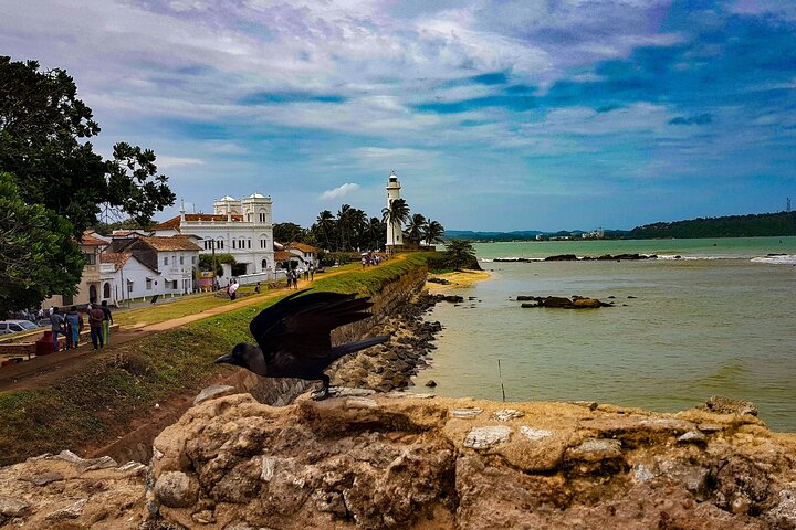 Galle day execution  - Image 5