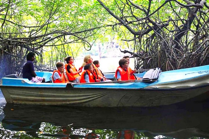 Galle Day Tour from Colombo or Negombo by Private Car , Van with Driver - Image 4