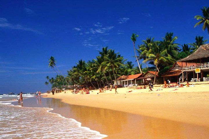 Galle Day Tour from Colombo or Negombo by Private Car , Van with Driver - Image 3