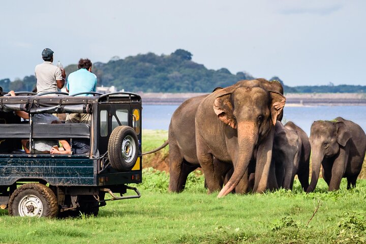 GO WILD! Double Safari Day Trip (Yala & Udawalawe) - Private & All Inclusive  - Image 1