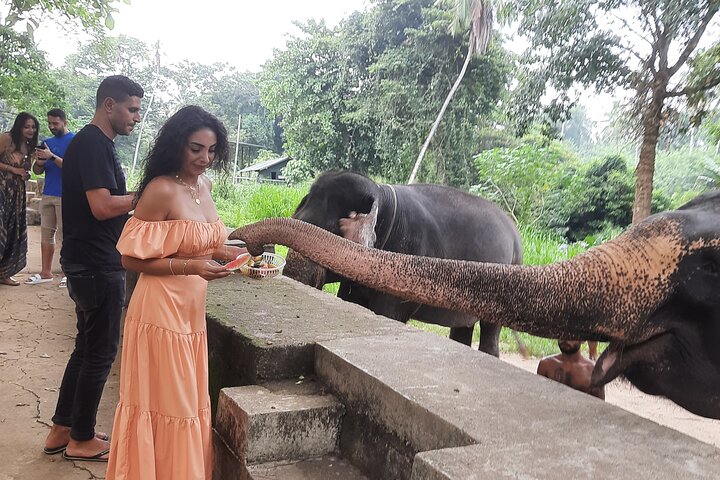 Guided round tour in srilanka  - Image 1