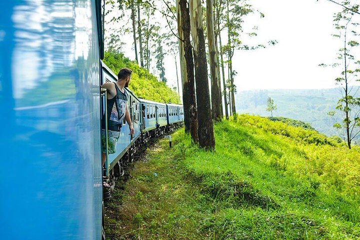 Horton Plains National Park Tour With Scenic Train Ride - Image 5