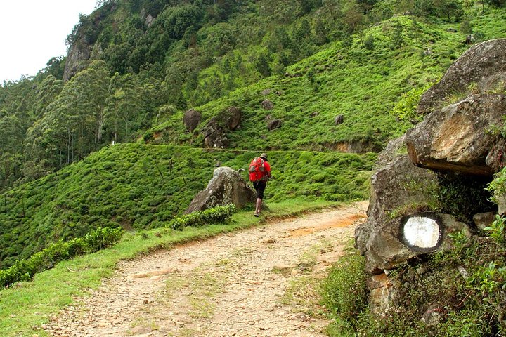 Horton Plains National Park Tour With Scenic Train Ride - Image 2