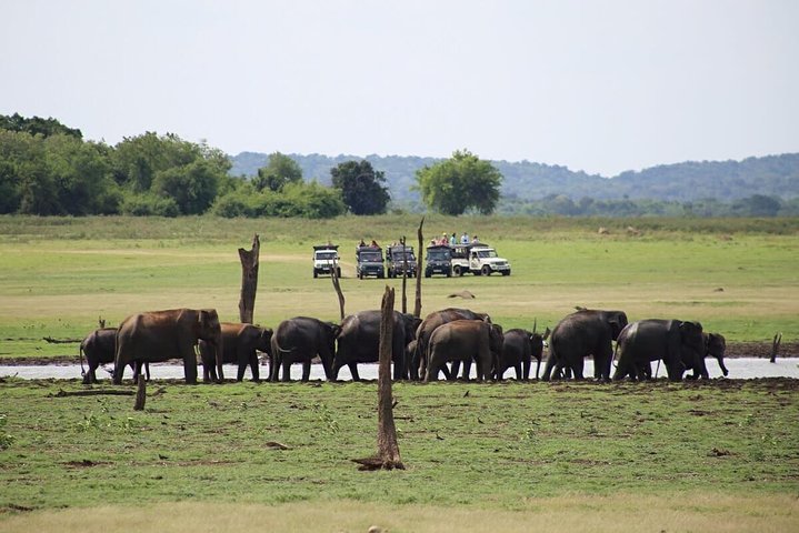 Hurulu Eco Park Private Safari - Image 5