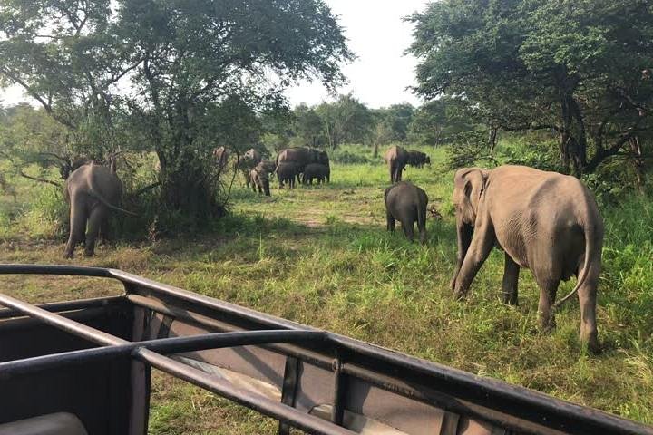 Hurulu Eco Park Private Safari - Image 2