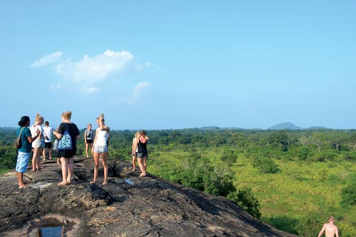 Hurulu Eco Park Private Safari - Image 3