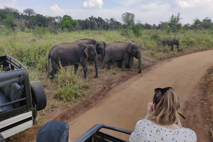 Hurulu Eco Park Private Safari - Image 1