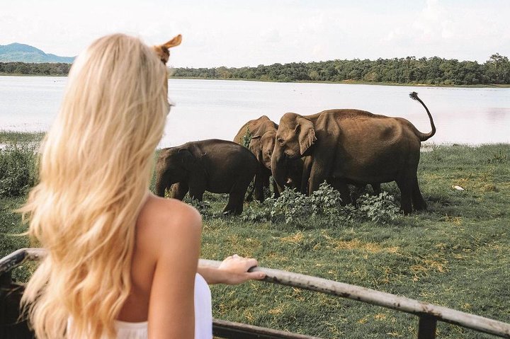 Instagramble Sri Lanka - 7 Days - Image 4