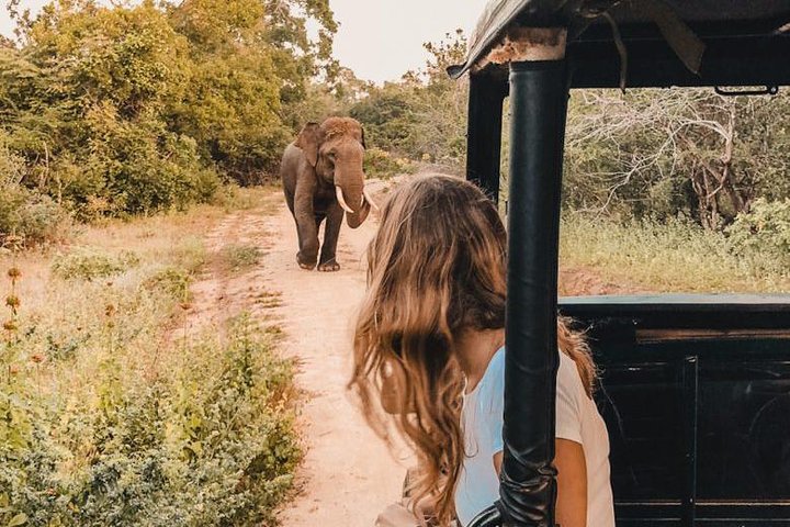Instagramble Sri Lanka - 7 Days - Image 2