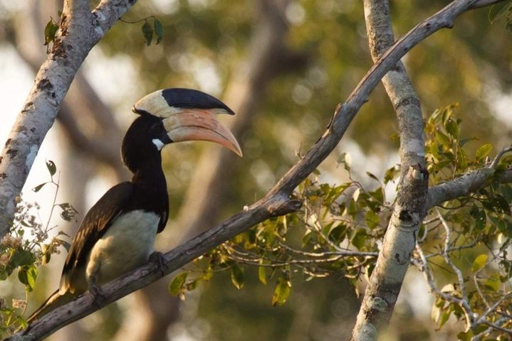 Jeep Safari To Yala National Park From Benthota and Beruwala - Image 5