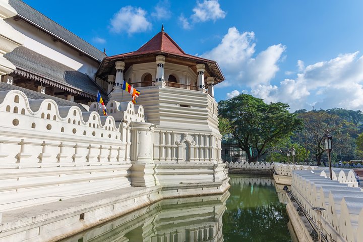 Kandy City Tour from Colombo Port - Image 1