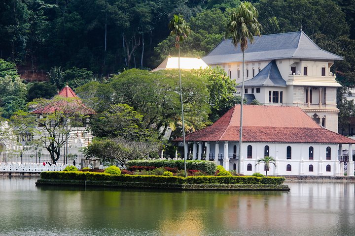 Kandy Day Tour from Colombo or Negombo by Private Car or Van with Driver - Image 1