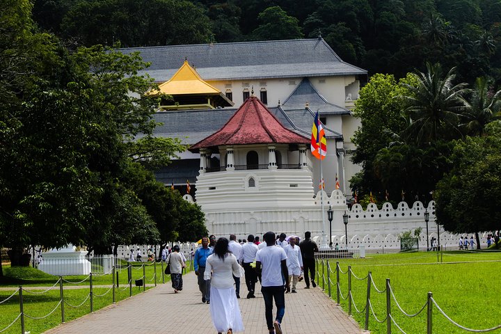 Kandy Day Tour from Colombo or Negombo by Private Car or Van with Driver - Image 5