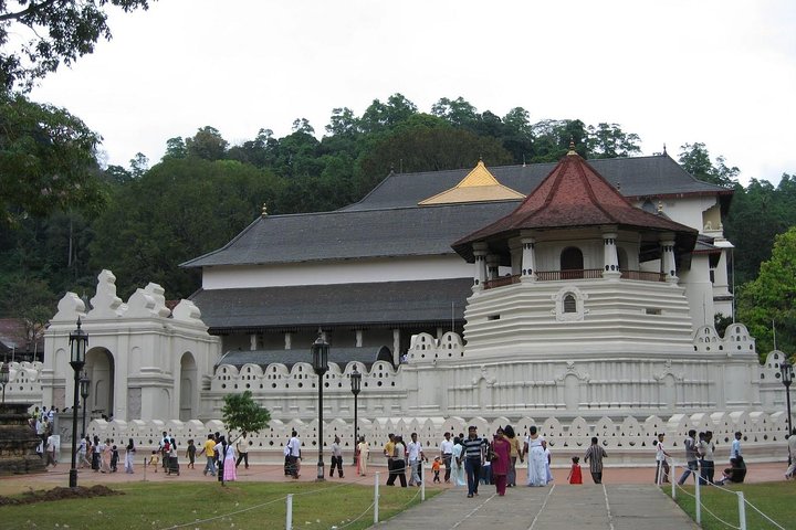 Kandy Day Trip with Tooth Relic Temple & Unique Attractions - Image 2