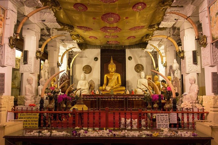 Kandy Day Trip with Tooth Relic Temple & Unique Attractions - Image 3