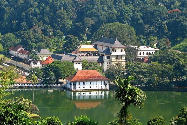 Kandy Day Trip with Tooth Relic Temple & Unique Attractions - Image 1