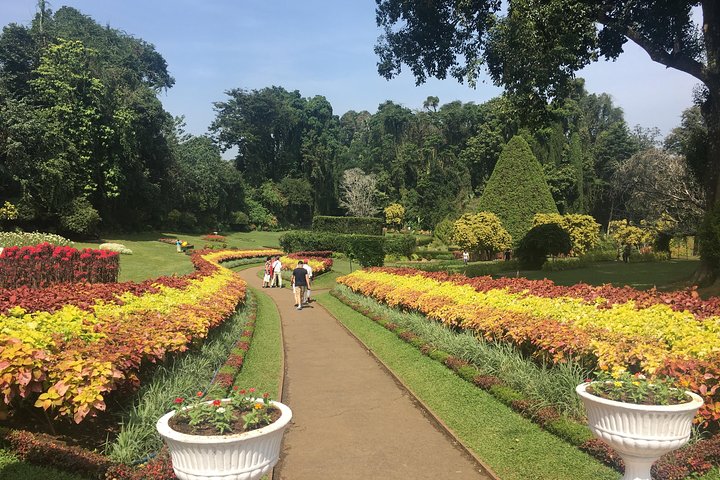 Kandy Private Day Tour - Image 2
