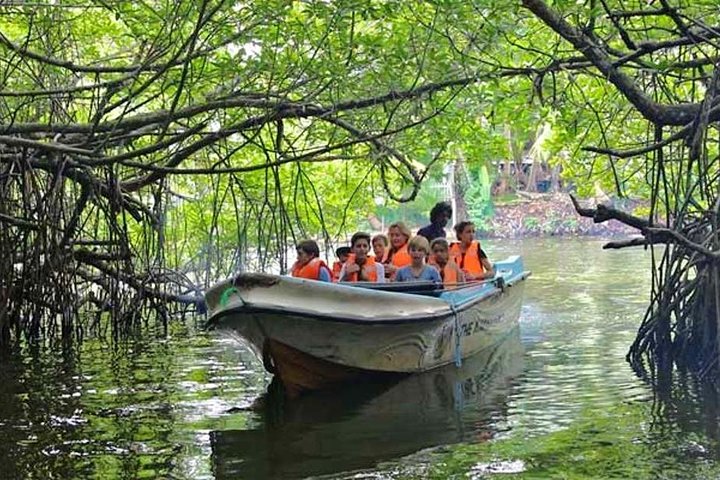 Lagoon Escapes Negombo Day Trip - Image 5