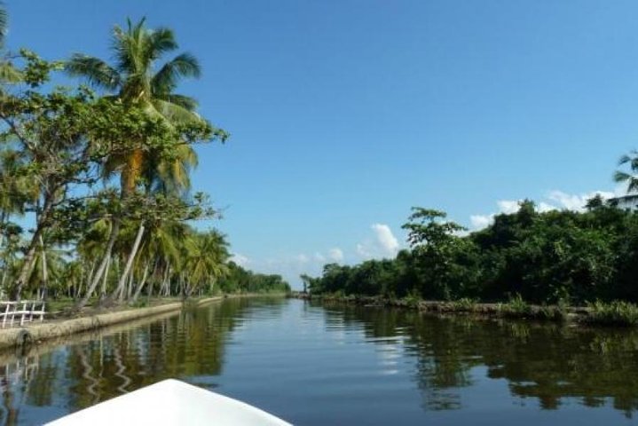 Muthurajawela Bird Watching Tour - Image 2