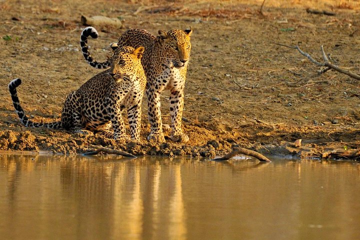 Nature & Wildlife - 10 Days Tour - Image 1