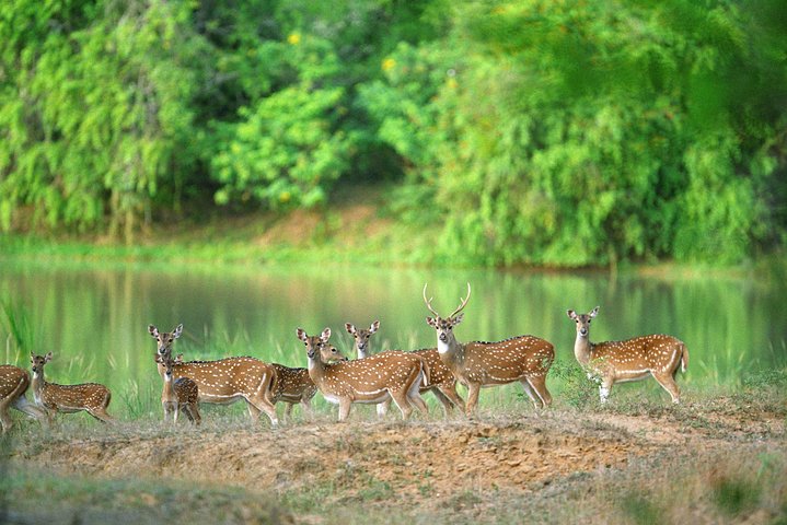 Nature & Wildlife - 10 Days Tour - Image 4