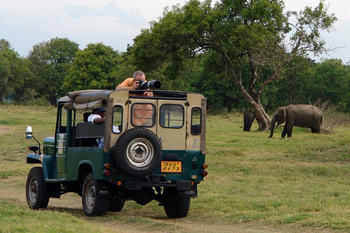 Nature & Wildlife - 10 Days Tour - Image 2