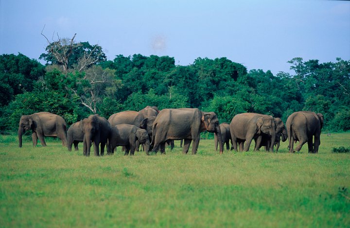 Nature & Wildlife - 10 Days Tour - Image 3