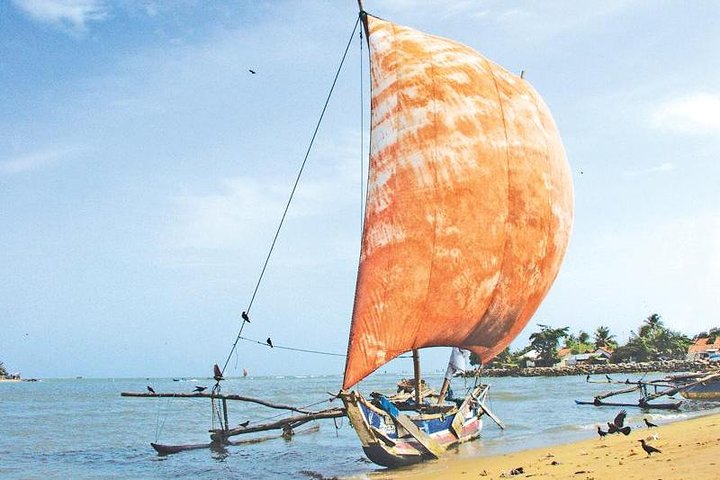 Negombo and Colombo City Tour with Home made Fresh Seafood Lunch - Image 2